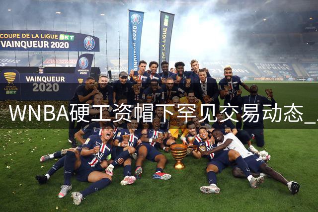 WNBA硬工资帽下罕见交易动态 总决赛MVP普拉姆引多队哄抢
